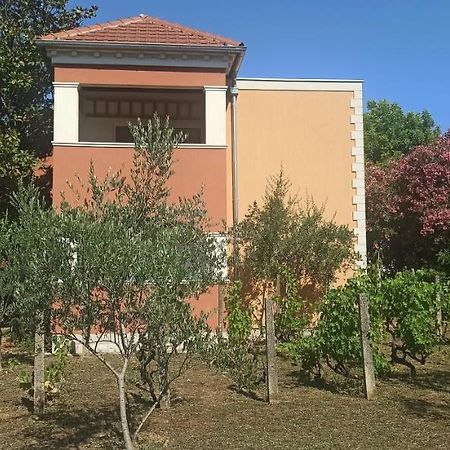 Apartments Rolovina Τίβατ Εξωτερικό φωτογραφία