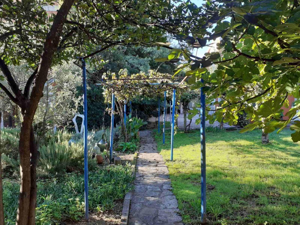 Apartments Rolovina Τίβατ Εξωτερικό φωτογραφία