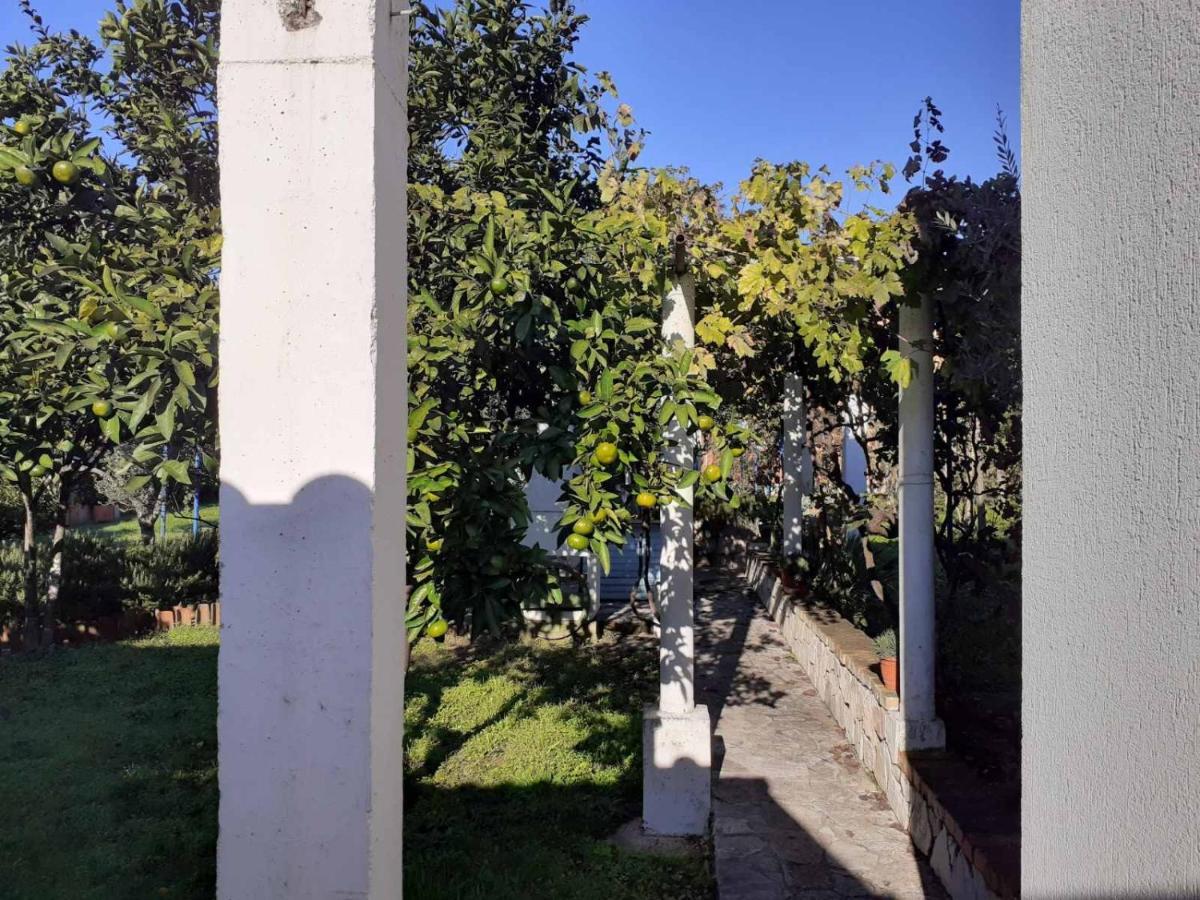 Apartments Rolovina Τίβατ Εξωτερικό φωτογραφία